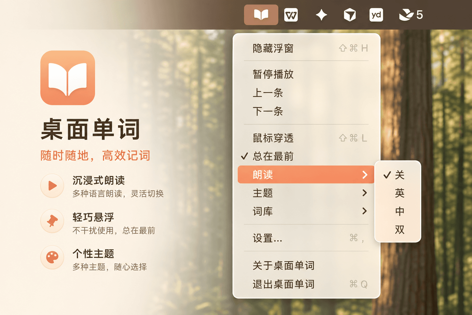 桌面单词托盘菜单，包含隐藏浮窗、播放控制、朗读、主题和词库入口